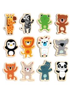Magnetic's - Coucou Jungle 2