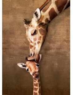 Puzzle (1000pcs) - Le Câlin de la Girafe 2