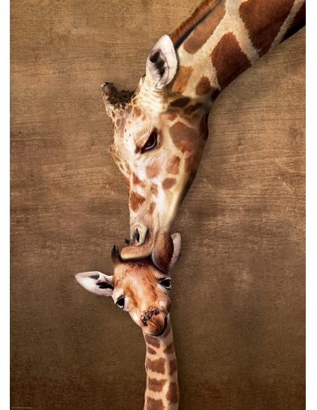 Puzzle (1000pcs) - Le Câlin de la Girafe